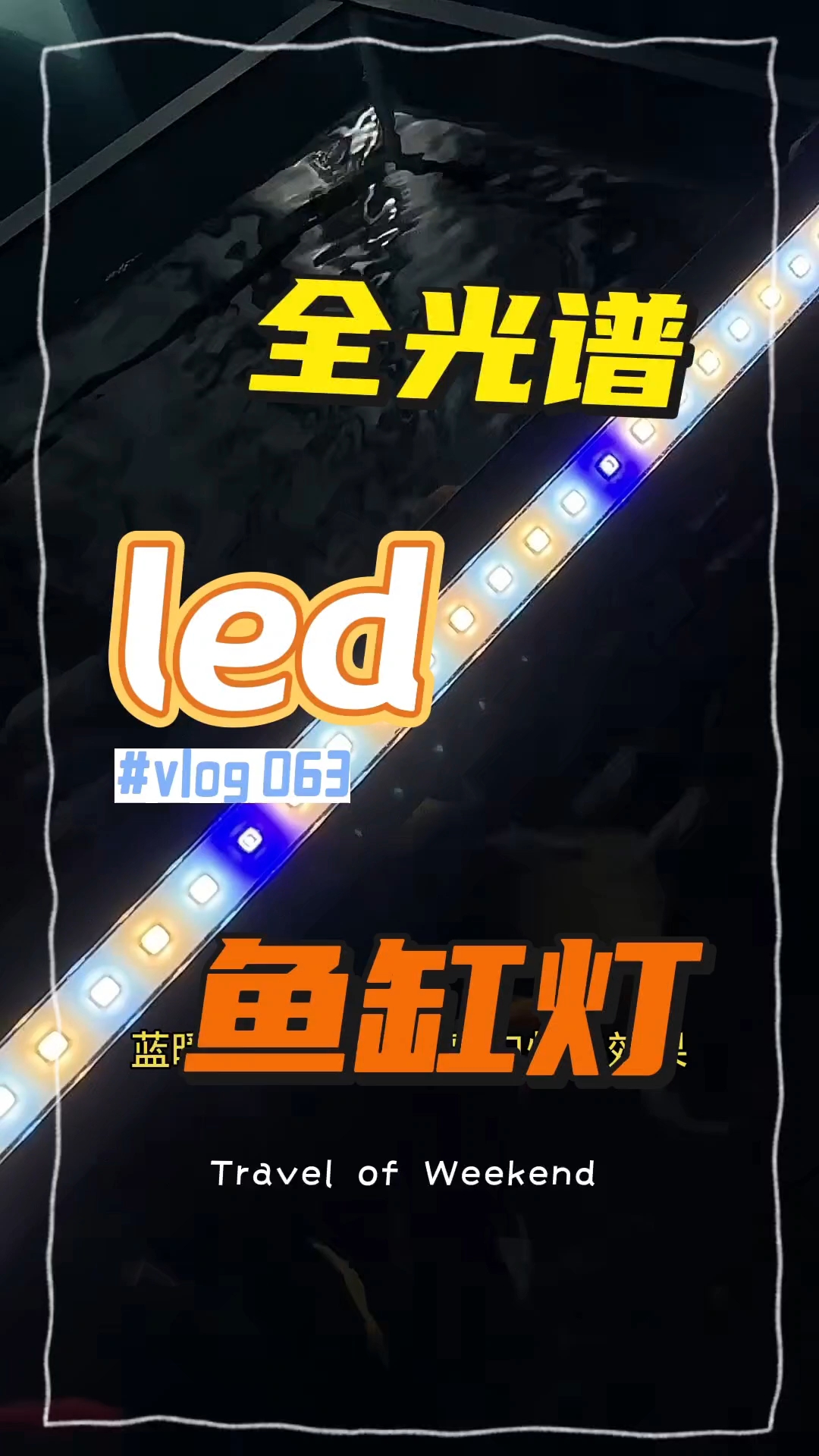 吉印鱼缸灯LED防水照明水族箱全光谱超亮支架小型专用节能增艳