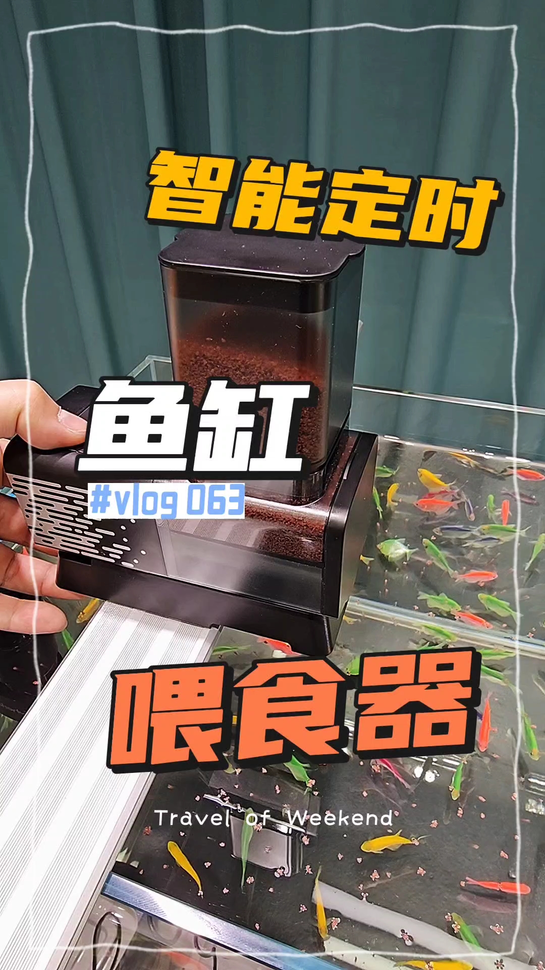 喂食器鱼缸锦鲤金鱼喂鱼神器投食器智能定时
