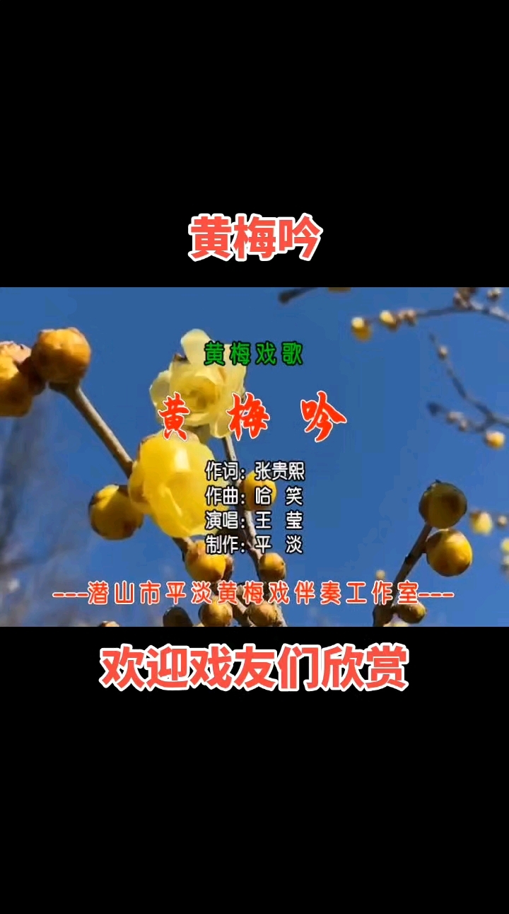 王莹-黄梅戏黄梅吟