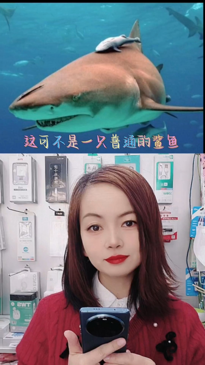 瞧，大鲨鱼游过，超酷的！