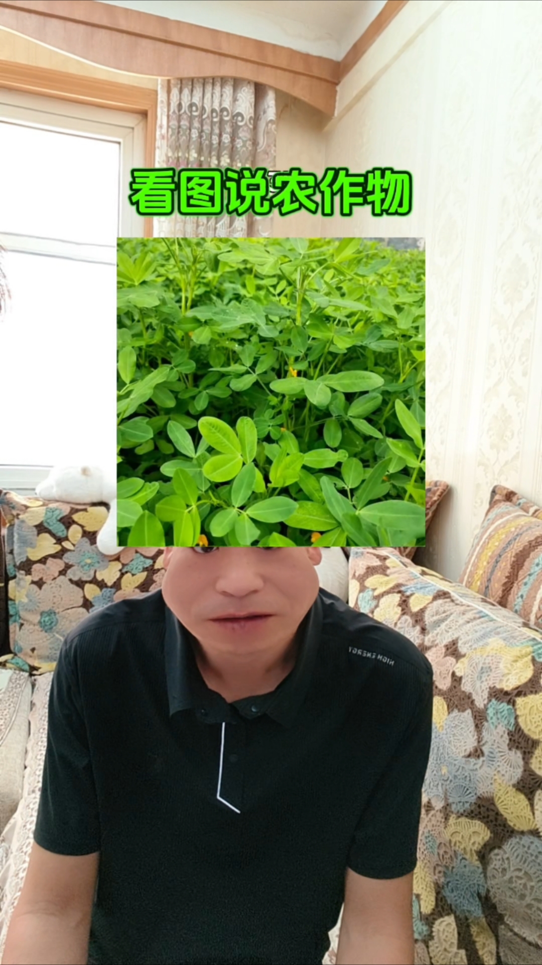 看图说出蔬菜名称