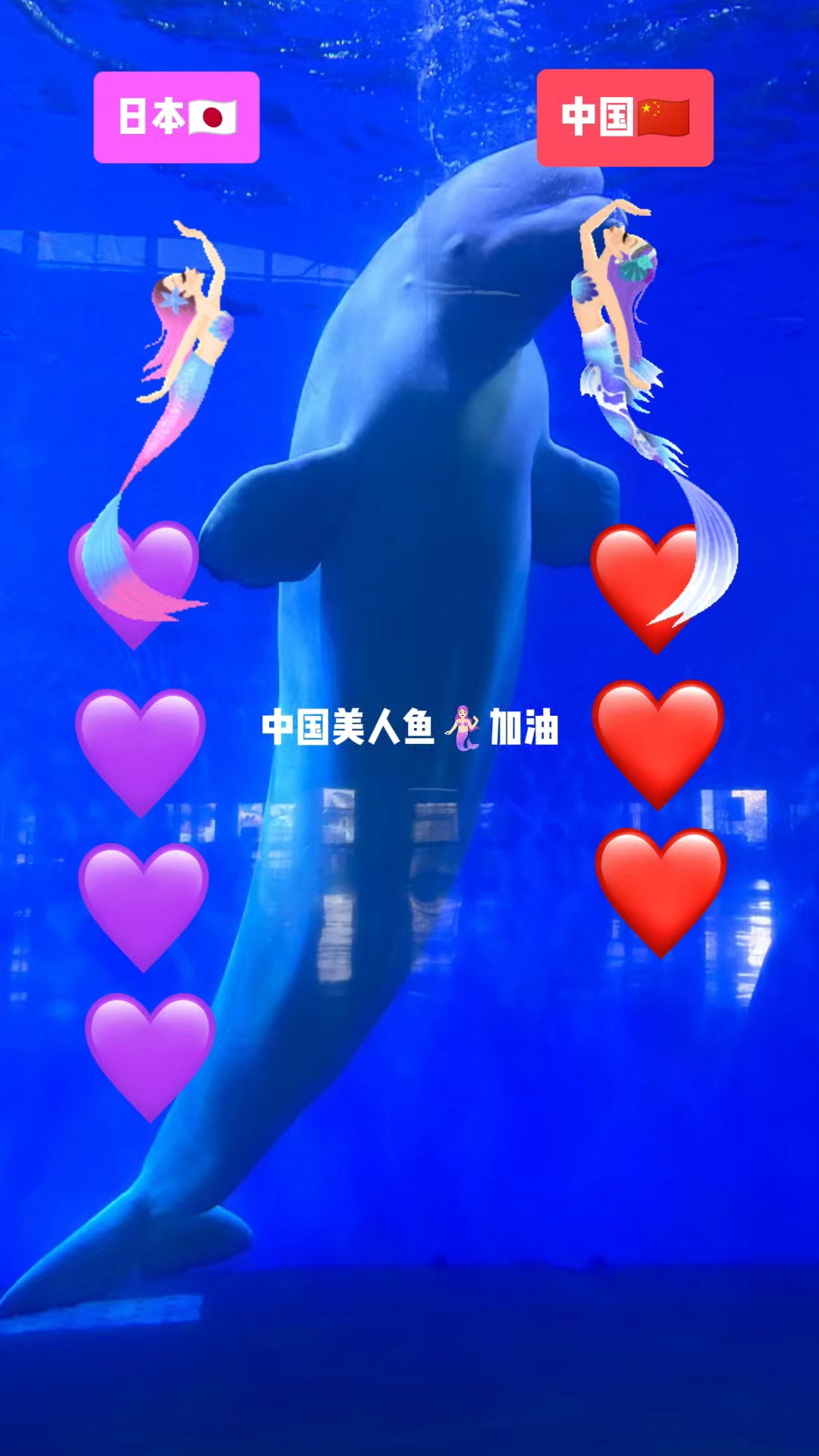 中国的美人鱼,加油!