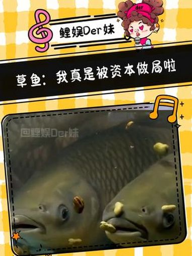 草鱼:我真是被资本做局啦 草鱼 美食 万万没想到 内容过于真实 大数据推荐给有需要的人