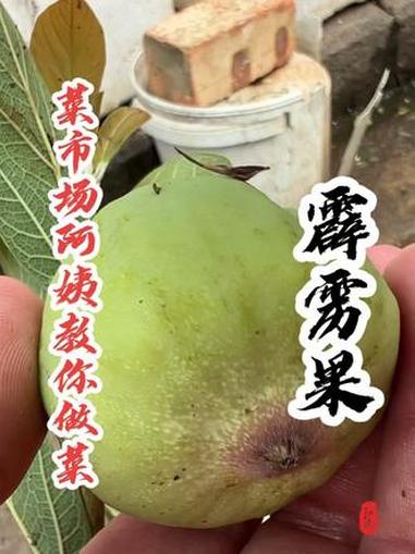 同学们，这个果你们那儿叫什么名字？都是怎么吃的呢？内容启发搜索 菜市场阿姨教你做菜