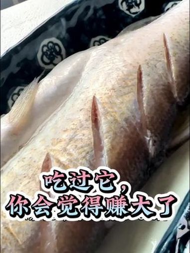 太湖白鱼原来这么嫩,相信我,清蒸更好。美食推荐 太湖白鱼 清蒸鱼