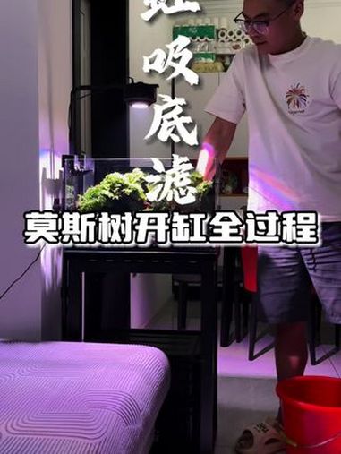 溪流缸玩够了?看看我这套满配快乐缸!虹吸底滤+莫斯树+灯科鱼,真正只加水不换水的懒人鱼缸!