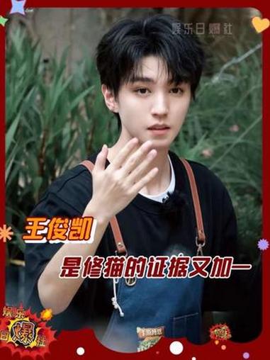 猫猫被小鱼干吸引不是人之常情嘛 #王俊凯 #王俊凯中餐厅10 #劲仔深海小鱼 #黄晓明说王