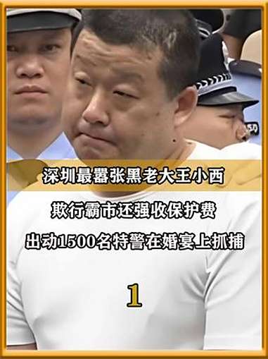 深圳黑老大王小西:欺行霸市还强收保护费,出动1500名特警在婚宴上抓捕(1)大案纪实 真实