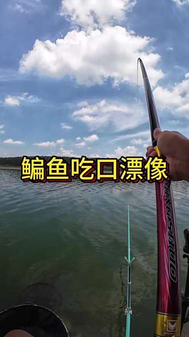 鳊鱼吃口 原创视频 抖音垂钓季 鳊鱼 玉米钓翘草鳊 抖音钓鱼人