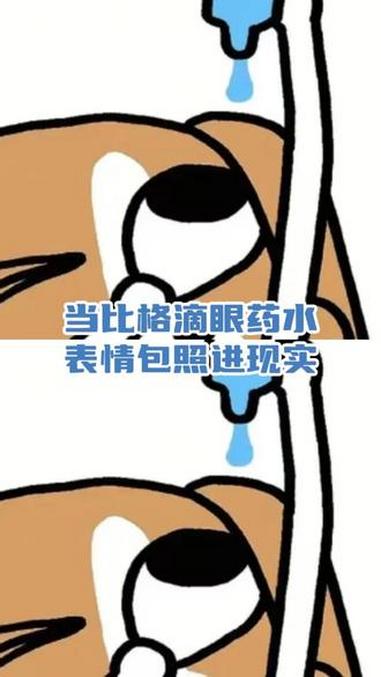 一直以为比格这个滴眼药水假哭只是一个表情包。比格 狗狗的心思都写在脸上 比格受害者联盟 搞