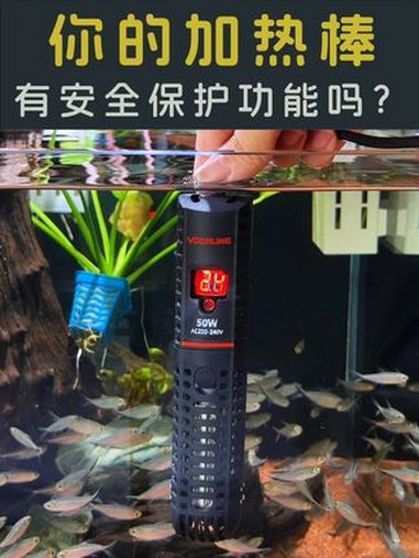 加热棒怎么选?我用了快三年的加热棒,安全功能特别强,换水没断 电都不怕!鱼缸加热棒 养鱼日