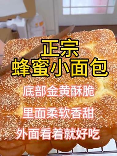 夏天想要面包做的好,酵母记得不要放太早 底部嘎嘎酥脆的蜂蜜小面包教程来了 面包 蜂蜜小面包