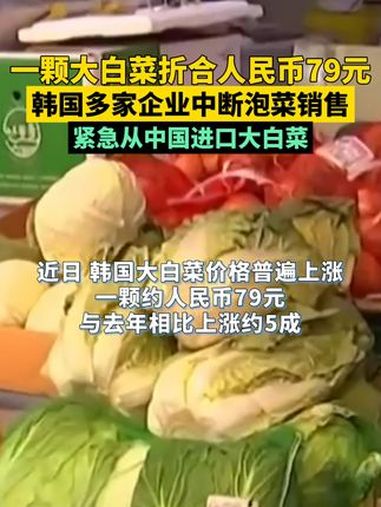 一颗大白菜折合人民币79元,韩国多家企业中断泡菜销售!韩国紧急进口中国产 大白菜