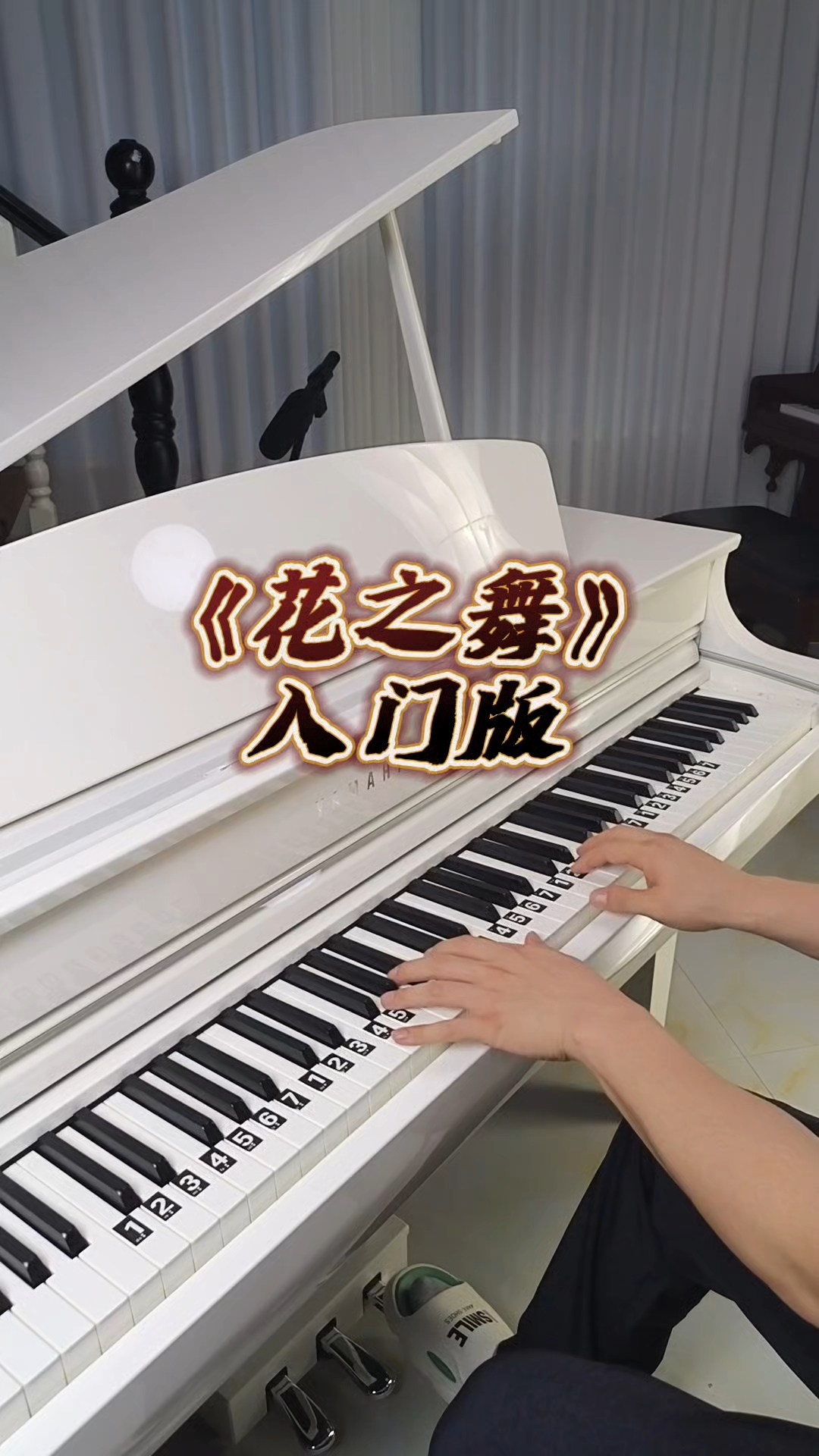 《花之舞》入门钢琴简谱教学
