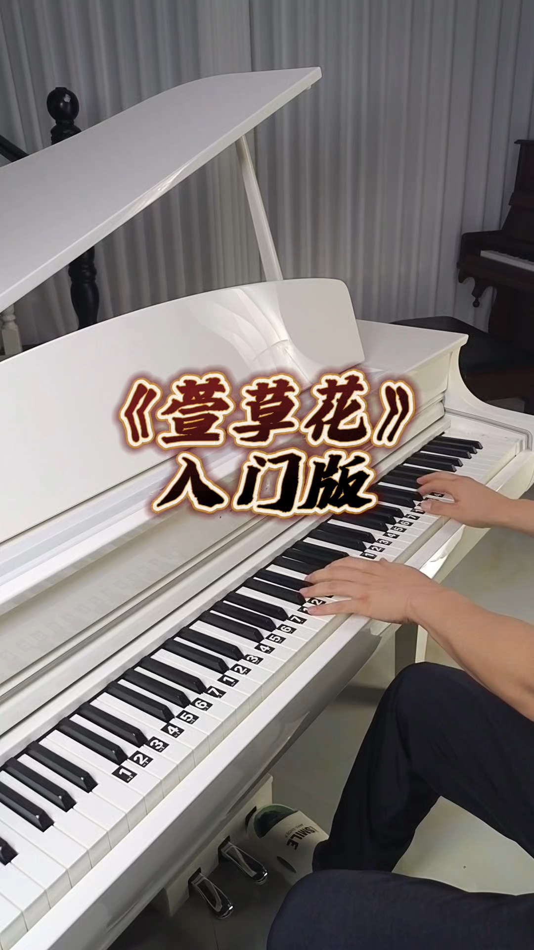 《萱草花》入门双手简谱教学
