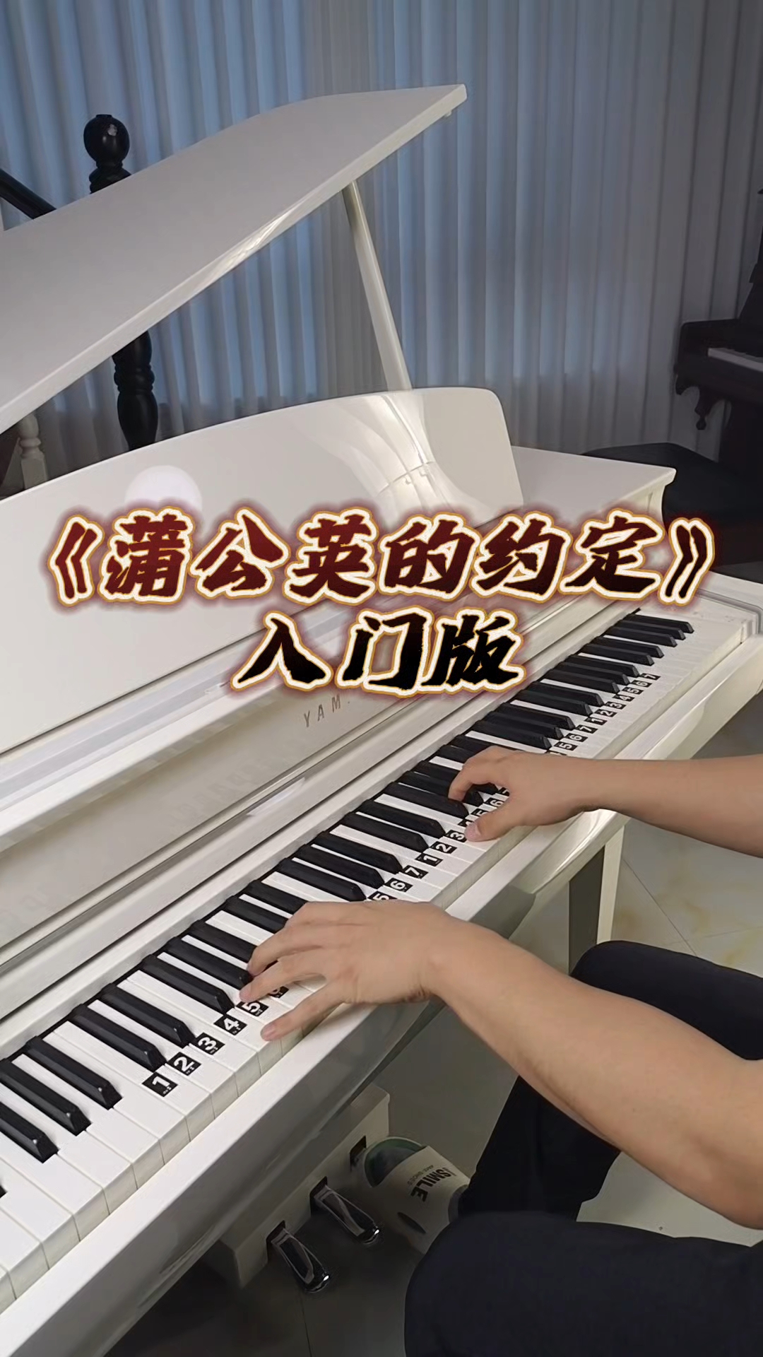 《蒲公英的约定》简单c调钢琴简谱教学