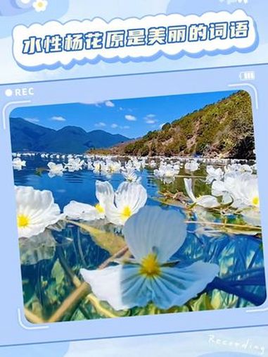 水性杨花的本意不是贬义词……水性杨花 泸沽湖 女性智慧 风景 旅游