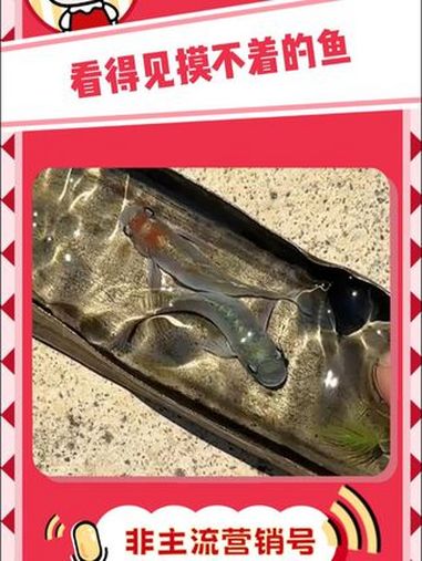 老天奶能赐我一双会画画的手吗 树脂画 栩栩如生 画画