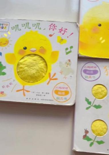  读完啦！小鸡球球触感书！小鸡球球  可以触摸，可以按的 触感 玩具书绘本，适合 低月龄宝