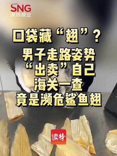 口袋藏“翅”？男子走路姿势“出卖”自己，海关一查竟是濒危鲨鱼翅 #大青鲨鱼翅 #濒危保护动