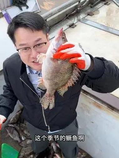 桃花流水鳜鱼肥,春天的鳜鱼有多好吃,你吃了就知道了