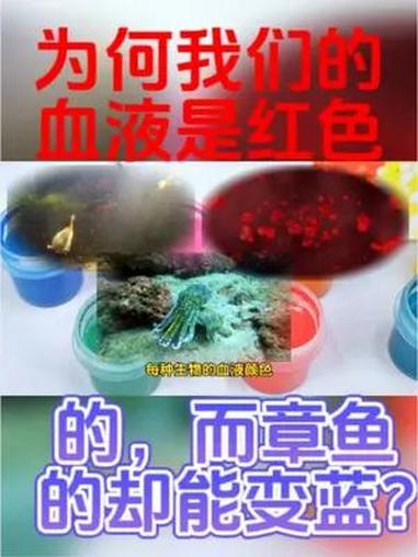 血液的颜色之谜,从红到蓝,再到绿,自然界的色彩教会我们什么?血液密码 章鱼血液 分享你的故