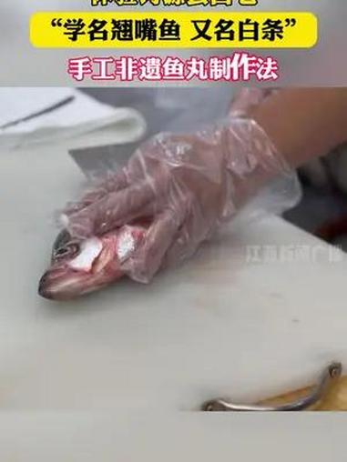 体验河源县白七(学名翘嘴鱼,又名白条)手工非遗鱼丸制作法 非遗 非遗鱼丸 美食
