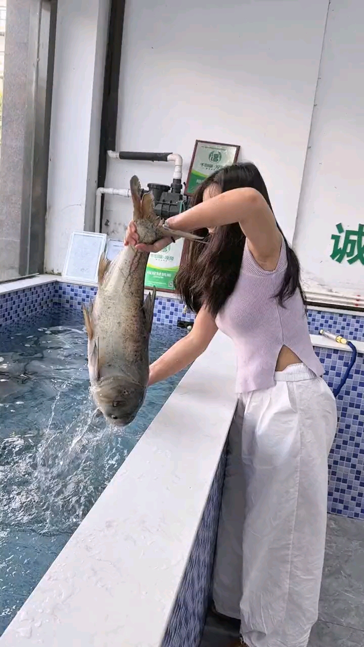 吃鱼就认准千岛湖淳牌有机鱼