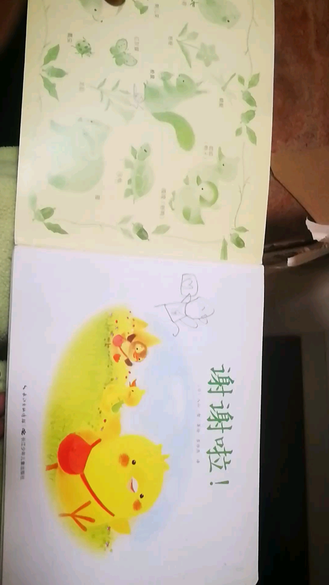 小鸡球球益智故事(2)