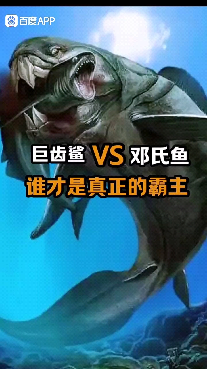 巨齿鲨VS邓氏鱼,谁才是真正的霸主