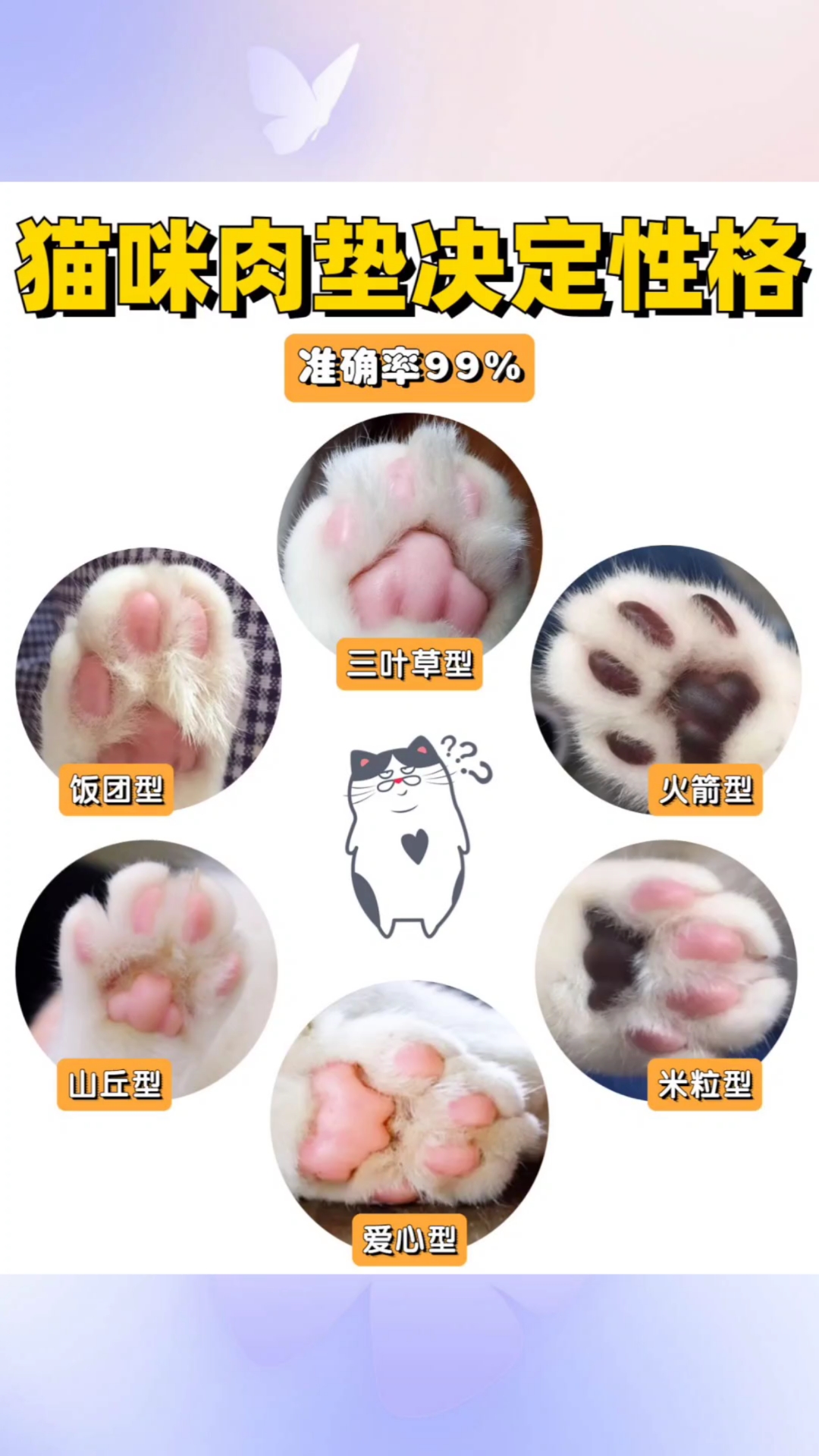 猫咪肉垫决定性格