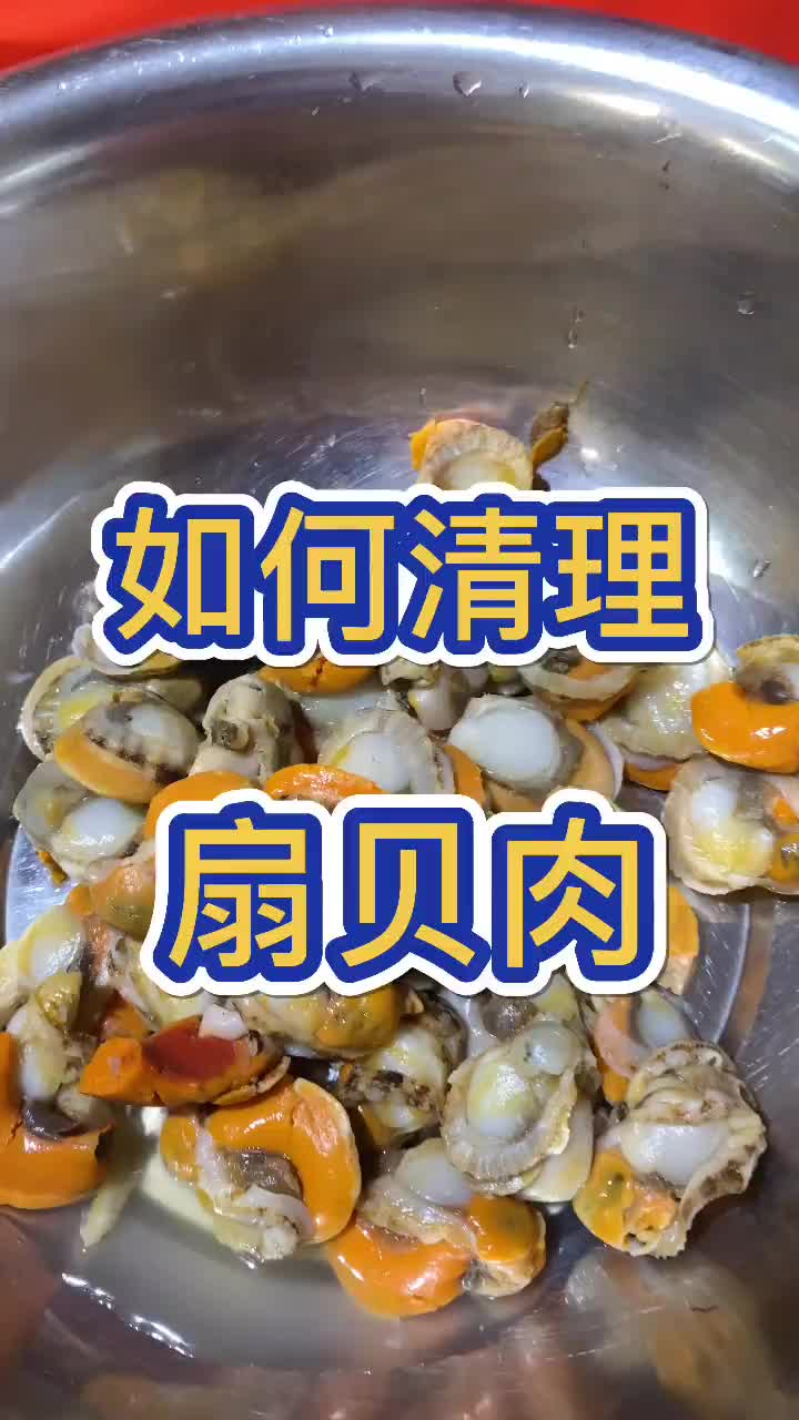 你会清理扇贝肉吗?我来教教你