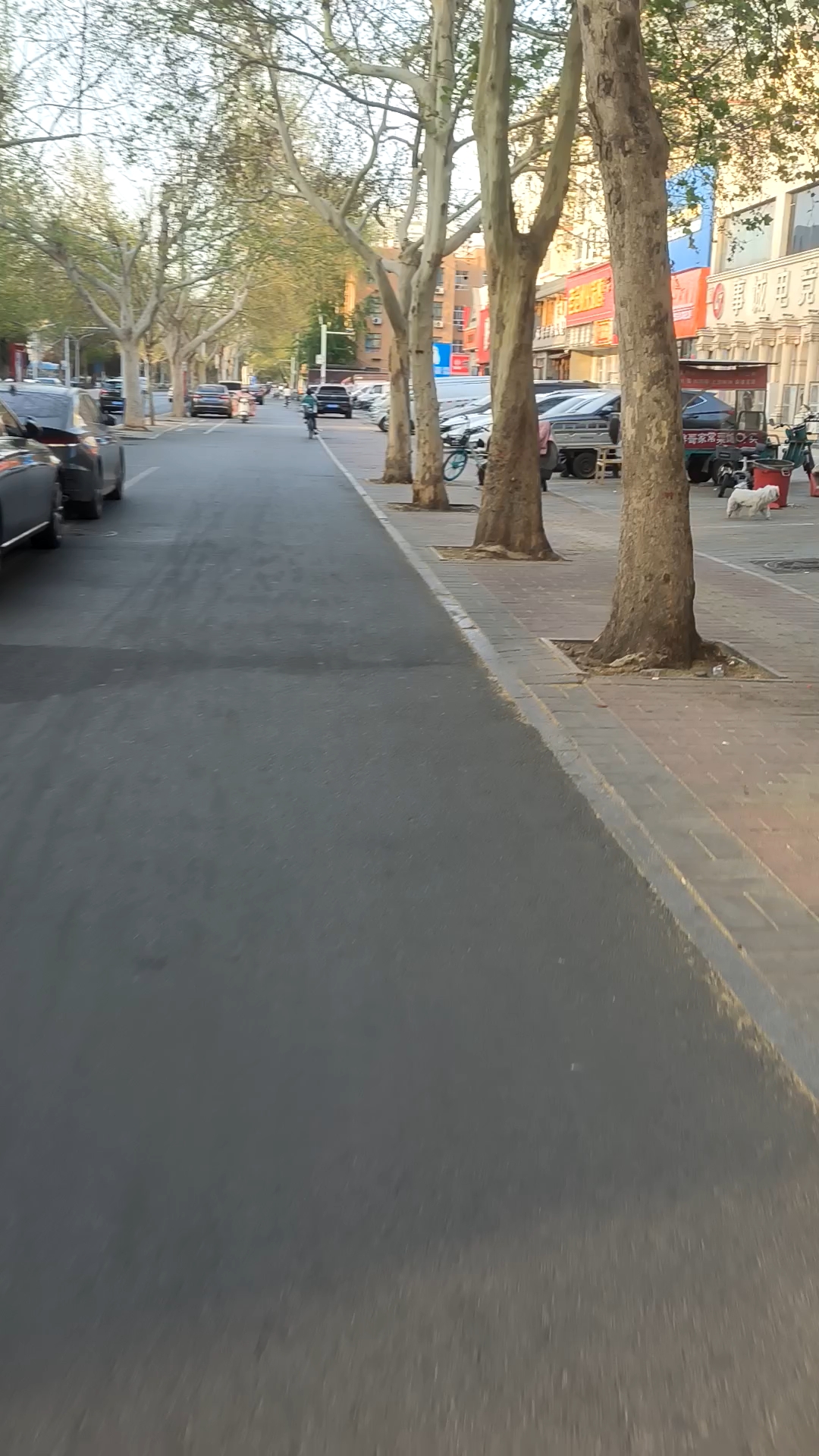 清晨的保定永华北大街,你发现了哪些有名的地方?