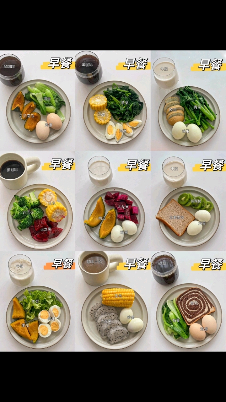 一日三餐食谱分享