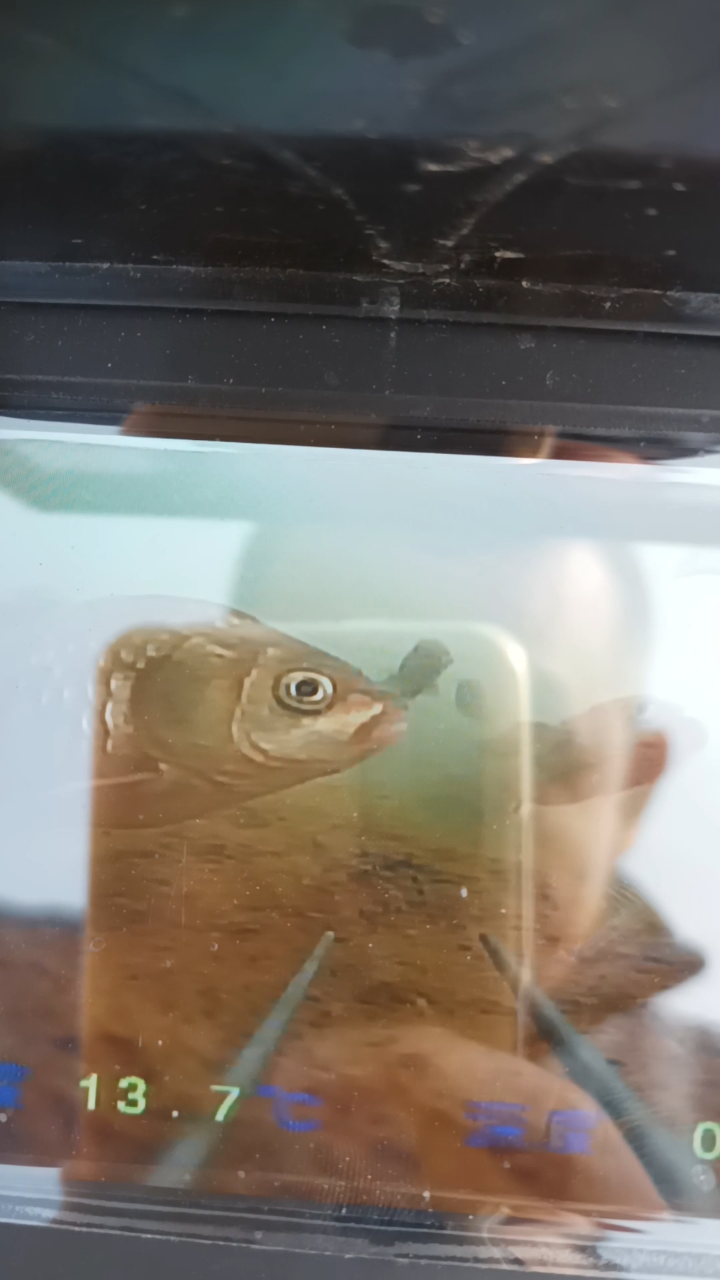 就问一下这首钓鱼的诗如何