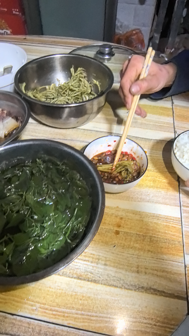 大树菜配香椿五碗饭不够吃