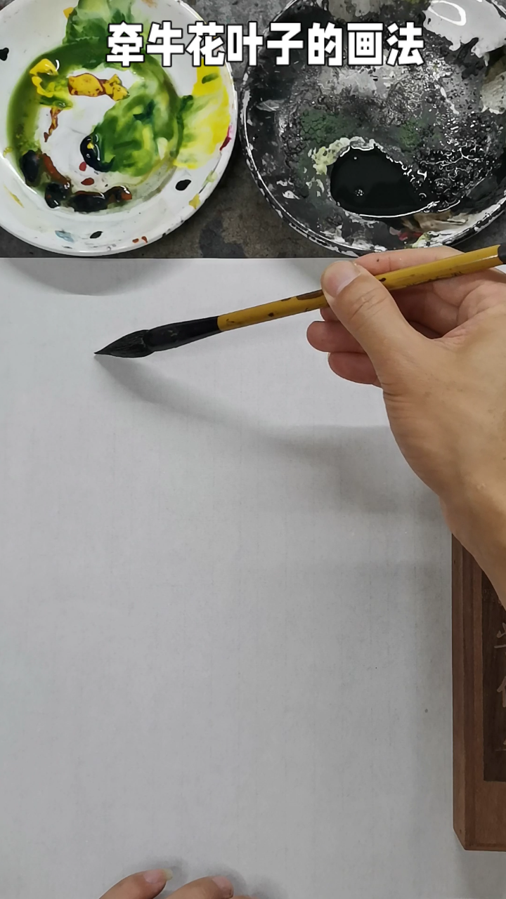 牵牛花叶子的画法