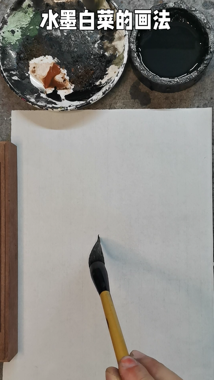 国画水墨白菜的画法