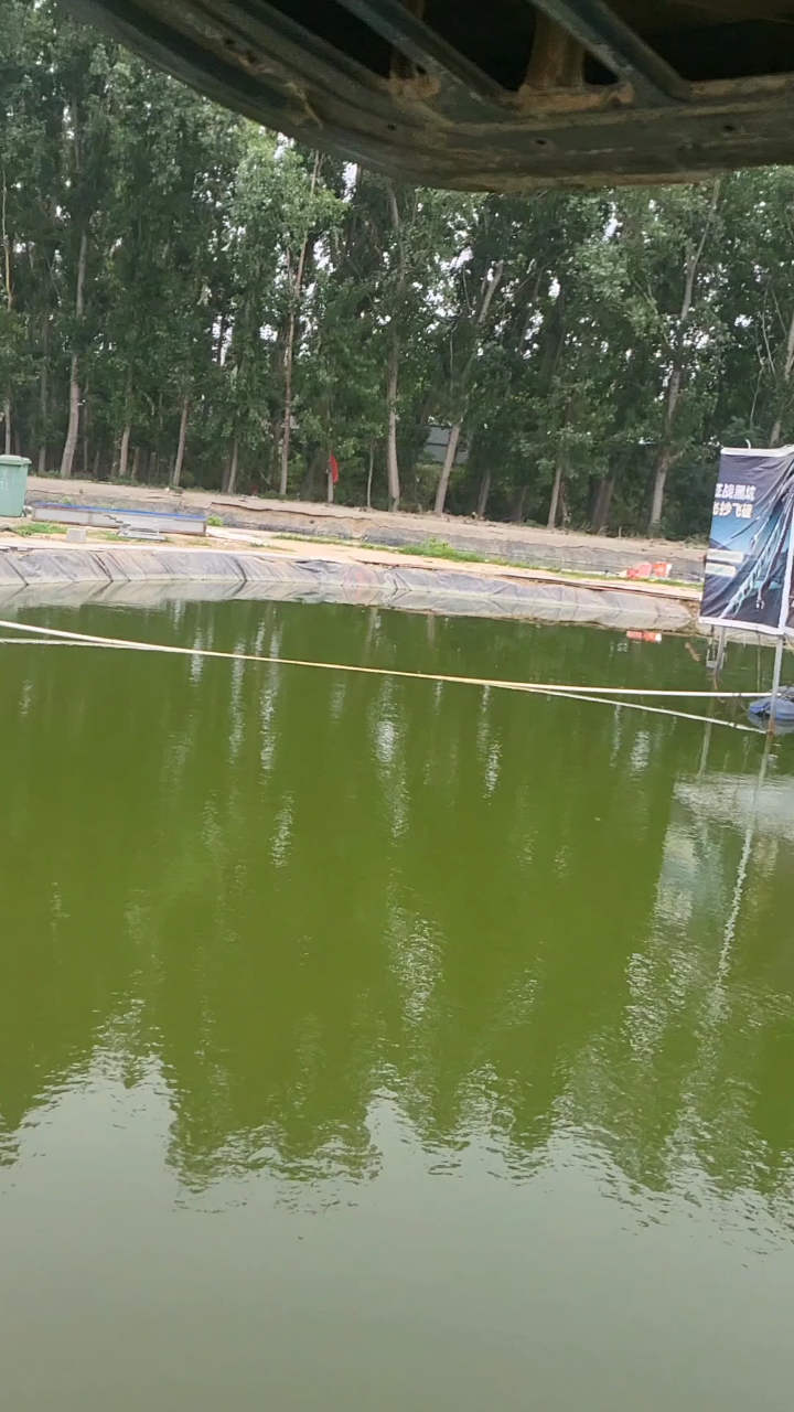 小塘放鱼视频,北龙湖华子钓场