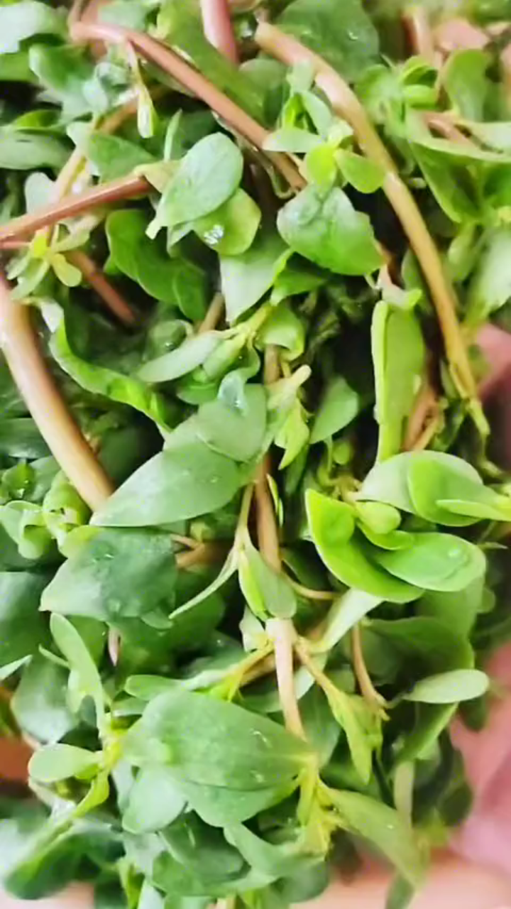 解锁妈妈菜新吃法:降压降糖,美味又健康