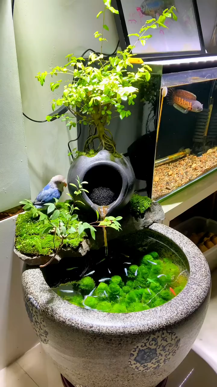 陶瓷古法造景养鱼缸