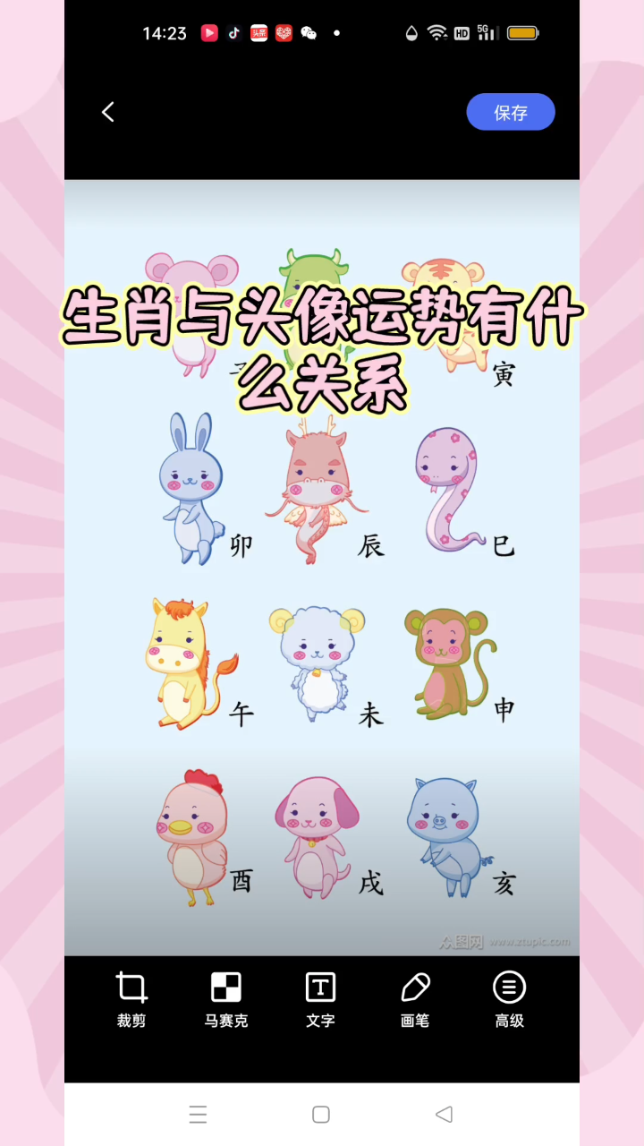 生肖与头像运势大揭秘:选对头像,好运连连