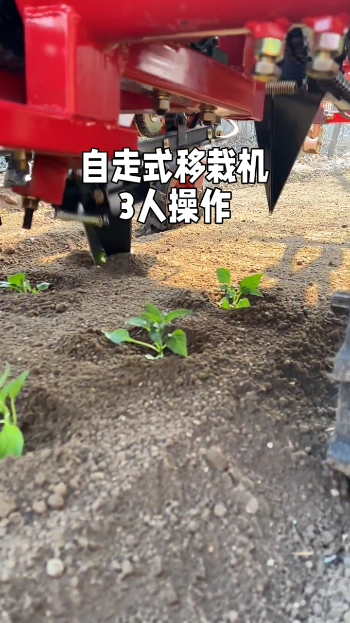自走式移栽机:高效种植新选择