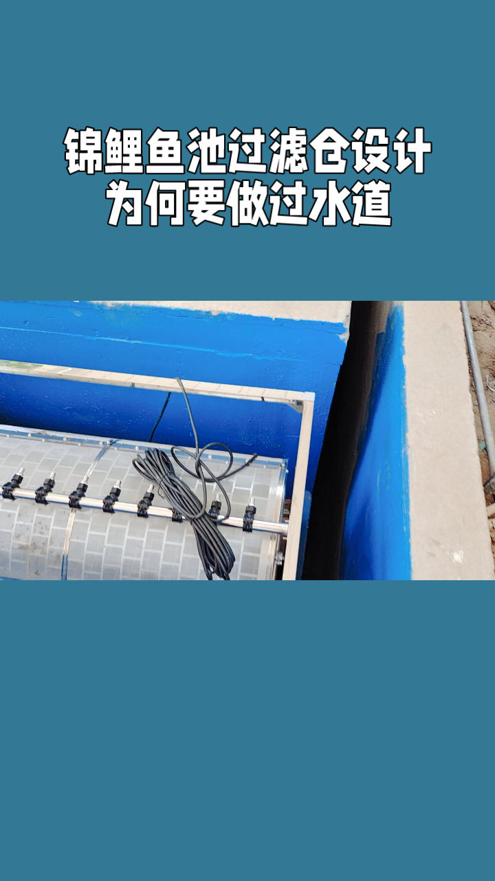 锦鲤鱼池过滤仓设计 为何要做过水道