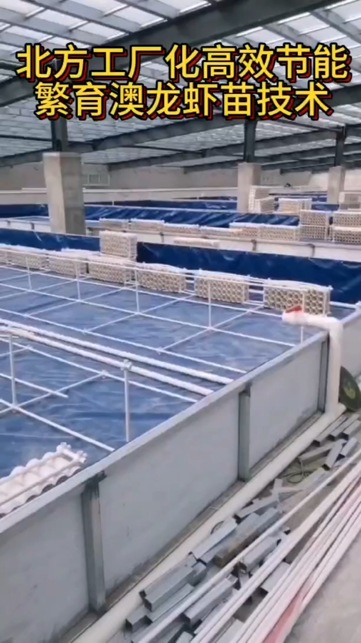 澳洲淡水龙虾养殖工厂