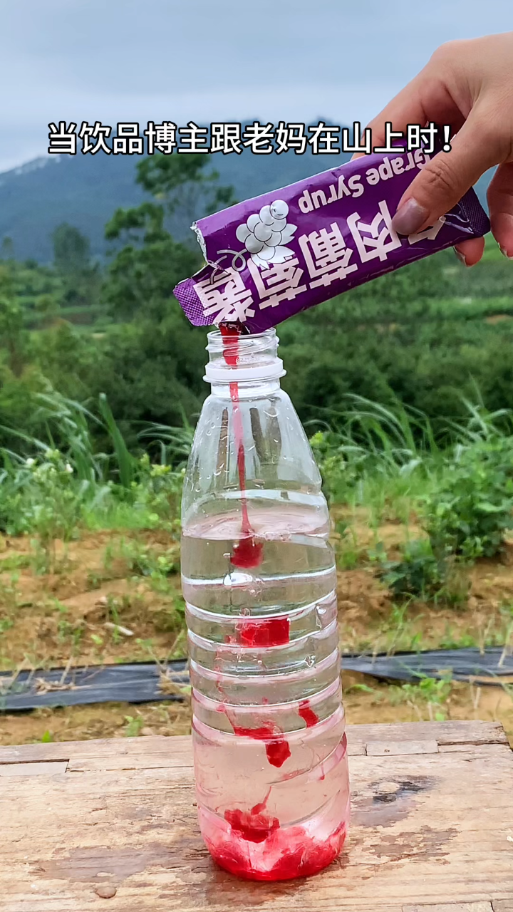山上多肉葡萄水DIY,老妈都馋了