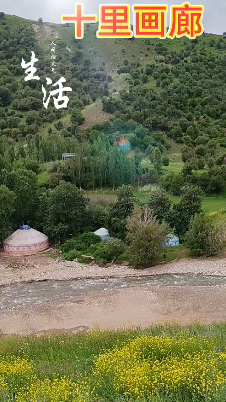 伊犁库尔德宁景区十里画廊!