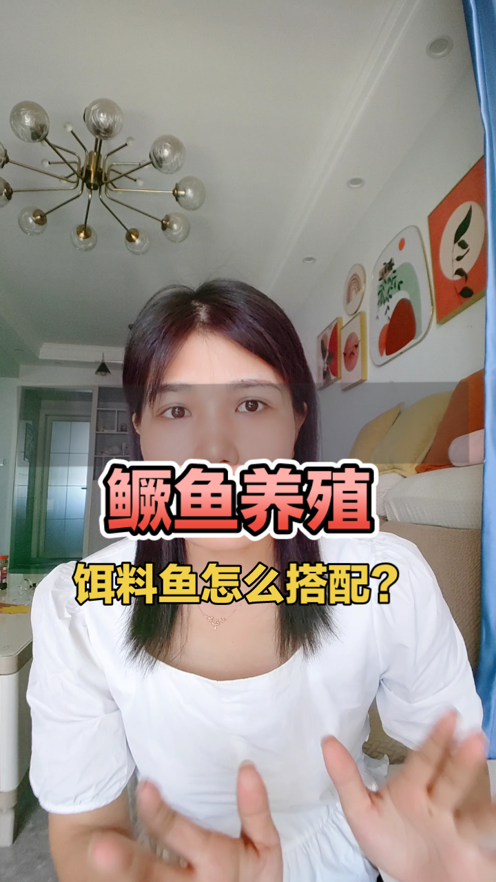 桂鱼养殖:饵料选择与投放技巧