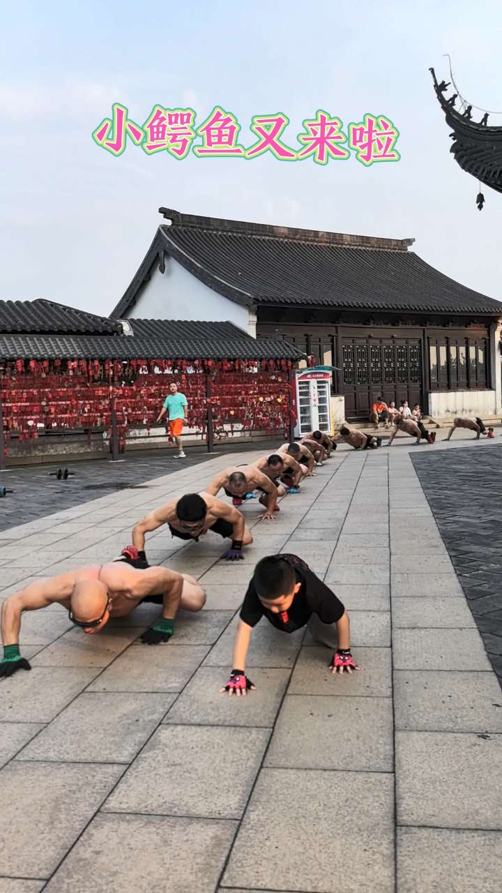 可爱的小鳄鱼又来啦
