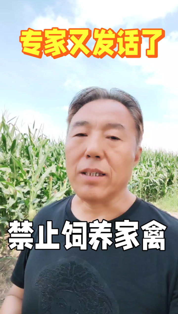 农民养鸡鸭,田园风光美